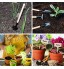 Hydrogarden Kit de Test de Sol avec 11 Outils pour bonsaïs Comprenant 3 en 1 d'humidité de Sol Ensemble d'outils de Transplantation étiquettes de Plantes en Bois et Clips de Support