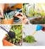 Kaimeilai Outils pour Bonsai 13 Mini Outils de Jardinage Kits d'Outils de Jardinage Outils Jardin Plantes Succulentes Plantation Miniature Transplantation pour intérieur et Jardin