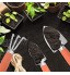 Mini Outils de Jardin Set 3PCS Mini Outils de Jardinage Ensemble d'outils pour Plantes de Jardin Bêche Pelle et Râteaux Mini Kit de Jardinage Outil de Jardinage Intérieur et Extérieur