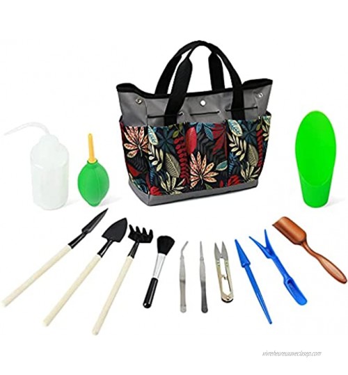 NIVC Kit d'outils de jardinage pour plantes succulentes kit d'outils de jardinage d'intérieur kit d'outils de plantation et d'arrosage familiale kit d'outils avec organiseur Gris