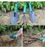 odegltina Kit d'outils de jardin pour bonsaï Avec boîte de rangement Couteau à chasser sécateur pelle pulvérisateur et gants de jardin 12 pièces Vert