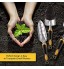 Queta Ensemble d'outils de jardin 5 pièces d'outils de jardinage en acier inoxydable avec sécateur truelle à main transplanteur râteau à main gants de jardinage