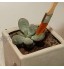 Sprießen 10 pcs Kits d'Outils de Jardinage Mini Outils de Succulente pour Bonsaï Succulente Plantes avec 20pcs Étiquette de L'usine