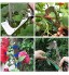 YCCC Pince à Lier Pince de Jardin Machine à Attacher en Acier Inoxydable Outil de Jardinage Attacher Branche Tying Tool pour Plantes Légumes Fleurs Vigne Tomate 22 Pcs