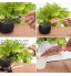 YueWan Lot de 16 mini outils de jardinage pour plantes succulentes Kit d'outils de jardinage pour bonsaï Accessoires de serre Kit de jardinage d'intérieur
