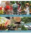 Zoomarlous Kit Bonsai Outils Jardinage pour la Taille du Jardin Outils Bonsai en Acier au Carbone Ciseaux Bonsai Fil de bonsaï avec Boîte en Nylon kit Jardinage pour Bonsaï pour Débutant 16PC