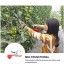 Hemoton Machine à attacher les plantes de vigne Outil de jardinage Pour légumes raisins tomates concombres poivre et fleurs Rouge