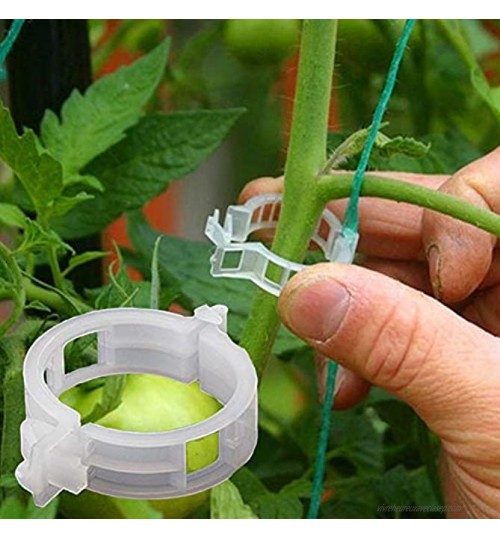 JoyFan 50 pcs Plante Support Jardin Clips Tomate Vigne Clips pour Vigne légumes Tomate à Grandir Debout