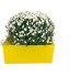Bac à fleurs et de rangement jardin avec poignées 34L jaune Fabrication française