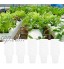 Dibiao 50 Pièces À Effet de Serre PP Hors- Sol Hydroponique Maille Pot Fleur Plante Croissante Panier Net Approprié pour La Plantation Divers Fruits Légumes