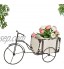 gongxi Vélo Fleur Pots De Plantes Vintage Fer Art Mini Vélo Planteur Conteneur De Fleurs Vase Décoration De Bureau pour Plantes Succulentes Cactus Air Plante