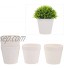 Happyyami 5 Pièces Blanc en Plastique Plantes Pépinière Pots Pots de Départ Fleur Conteneurs Petits Planteurs Pots pour Plantes D' intérieur Et D' extérieur