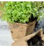 Kerta Lot de 2 boîtes de culture de semences 24 trous pour la conservation de la chaleur et l'hydratation de la crèche plateau de jardin pot de fleurs accessoires de jardin