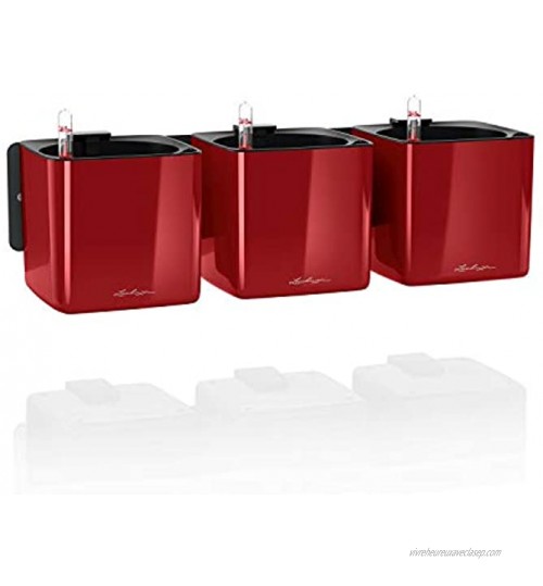 Lechuza – Pot de Fleurs d'Interieur – Green Wall Home Kit Glossy – Réserve d'Eau Intégrée – Coloris Rouge Scarlet – 48 × 6 × 14 cm