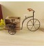 Vélo Pot De Fleur Vélo Planteur en Bois Tricycle Plante Stand Vintage Succulent Conteneur Bonsaï Pot pour La Maison Bureau Table Bureau Décoration-A||28X11cm