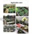 ZHEYANG Carre Potager Potager Surélevé Herbes extérieures intérieures Fleurs de Plus en Plus boîte de jardinière Kits de lit surélevé en Plastique récipients de légumes végétaux rectangulaires Mob