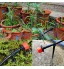 Nsiwem Goutteurs Irrigation Réglable arrosage Goutte à Goutte avec Tee-Joints piquets de Support de Tuyau d'égouttement Kit Automatique d'Arrosage de Système 150pcs