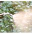 Redxiao Lance d'arrosage G3 8in DN10 2-en-1 pulvérisateur d'eau réglable Haute Pression buse d'arrosage de Fleurs 22.8in pour Jardins vergers Ceintures Vertes