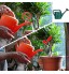 2 × Arrosoir De Jardin Tête De Rose,Embout d'arrosage pour bouteilles d'arrosoir de rechange en plastique pour arrosoir de jardin pour Bouteilles d'eau Outil D'abreuvement Ménager pour Plantes en Pots