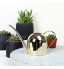Arrosoir en acier inoxydable pour plantes d'intérieur mini arrosoir avec longue buse étroite idéal pour la maison le jardin le balcon le bureau les plantes bonsaï 500 ml