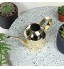 Arrosoir en acier inoxydable pour plantes d'intérieur mini arrosoir avec longue buse étroite idéal pour la maison le jardin le balcon le bureau les plantes bonsaï 500 ml