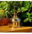 CKB LTD Brumisateur d'eau 300 ml Premium Classique Intérieur Vintage Pulvérisateur de plantes décoratives avec pompe citrouille pour plantes aériennes orchidées et plus 9 x 14cm Laiton poli