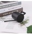 Danolt Arrosoir en Acier Inoxydable 300 ml Long Bec Pot d’Arrosage Mini Arrosoir en Métal pour Plantes d'Intérieur ou d'Extérieur Noir
