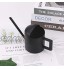Danolt Arrosoir en Acier Inoxydable 300 ml Long Bec Pot d’Arrosage Mini Arrosoir en Métal pour Plantes d'Intérieur ou d'Extérieur Noir