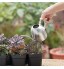Hggzeg Arrosoir en acier inoxydable petit pot à long bouche pour maison extérieur jardin plantes succulentes 500 ml argent