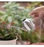 Hggzeg Arrosoir en acier inoxydable petit pot à long bouche pour maison extérieur jardin plantes succulentes 500 ml argent
