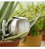 Lionina Arrosoir 1 L en acier inoxydable avec bec long et étroit petit arrosoir pour l'intérieur bureau à la maison plantes de balcon bonsaï design brossé
