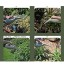 Nobranded Intérieur Arrosoir pour Maison Bonsaï Plantes Grand Arrosoir avec Long Bec Succulentes Jardin Décoratif Fleur 1.5L 2.5L arrosage Pot 1.5L Foncé Gris