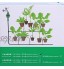 Canyita Minuterie d'arrosage programmes électroniques de contrôle Automatique d'irrigation de Jardin de Digital pour Le Balcon Familial de pelouse de Toit de Jardin