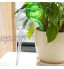 Ampoule d'arrosage automatique pour plante en pot et jardin d'intérieur PVC blanc transparent 26.5cm*8cm