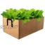 Alapaste Lot de 2 sacs de culture rectangulaires en feutre pour fleurs légumes plantes