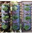 EZIZB Pot De Plante Suspendu Pot De Fleurs Mural 6 Sacs en Feutre Vertical Planter Grow Container Bags A Un Design Étanche Idéal pour La Culture De Plantes Vertes De Belles Fleurs