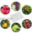 GWHOLE 100 Sacs Protection Plante Jardin Raisins Fruit Légumes Fleur Sachet Anti-Oiseaux 35 x 24 cm