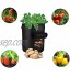 LKMING 3 Sacs de Plantation de Jardin de 10 Gallons Sacs de Plantes Biodégradables avec Poignées pour Planter des Sacs de Plantation de Pommes de Terre Carottes Tomates 3 Pièces