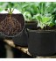 Pmandgk 5 PièCes SéRies Ensemble 20 Gallon Robuste éPaissi Pots en Tissu Cultiver des Sacs Contenant PéPinièRe Flowerpot Transplant Plant Sac avec PoignéEs