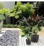 PrimeMatik Sac jardinière pour Plantes en Croissance Pot de Tissu de 8 litres 23x25cm 10-Pack