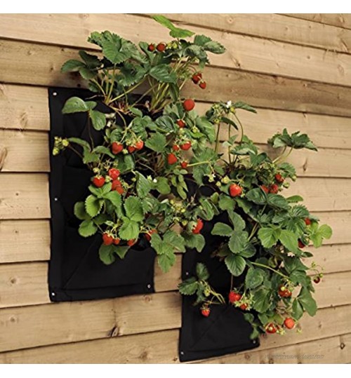 Sac Végétal pratique avec 7 Pockets Accrocher Mur Végétal Extérieur Jardinières Extérieur pour Jardin Décoration Intérieure