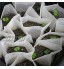 YLX Sacs Biodégradables Tissu Non Tissé pour Plantes Semis et Clips de Support Réglable pour Plantes Protéger la Croissance des Semis 100+20+20