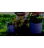 ZENAKIO Lot de 5 Sac de Plantation 20L Gris en Tissu Non Tissé Sac Jardin Résistants Réutilisables et Respirants avec Poignées pour Potager Interieur ou Jardinieres Exterieur