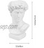 DOITOOL Sculpture tête de fleur Statue de David grecque Pot à pinceaux de maquillage pour le jardin et la maison