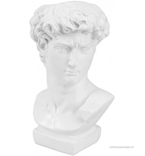 DOITOOL Sculpture tête de fleur Statue de David grecque Pot à pinceaux de maquillage pour le jardin et la maison