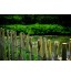 Clôture à ganivelle- Longueur 5 m Espace 7-8 cm Clôture à lattes en bois Décoration pour jardin 100