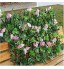 KJSAFD Clôture de Haies Artificielles，Décoration de Jardin de clôture de Treillis clôture en Bois rétractable d'arrière-Cour intérieure extérieure Artificielle avec des Feuilles de Fleurs pour Le