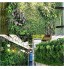 KJSAFD Clôture de Haies Artificielles，Les Haies de Plantes artificielles lambrissent Le criblage de clôture de confidentialité de Lierre de Verdure décoration de Jardin de clôture de Jardin d'écran