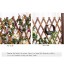 NLMWL-Y Clôture instantanée Extensible ， Clôture expansible en Bois Palissade Clôture clôture de Jardin décorative 80cm
