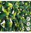 Sekey Haie Artificielle Clôture Rétractable en PVC Clôture de Jardin en Treillis Convient pour Les Balcons Les Décorations de Jardin Intérieur avec Feuilles en PE 1x2m Vert